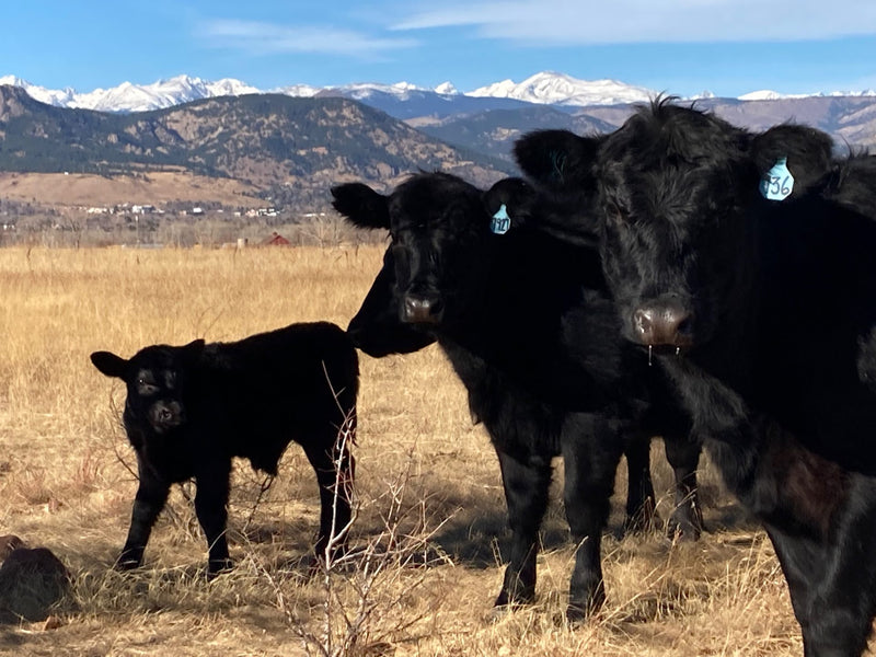 Ranch photo