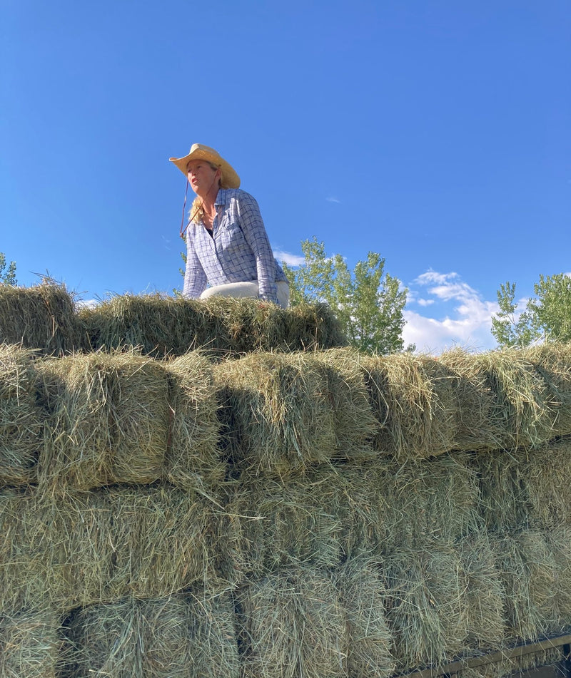 Ranch photo