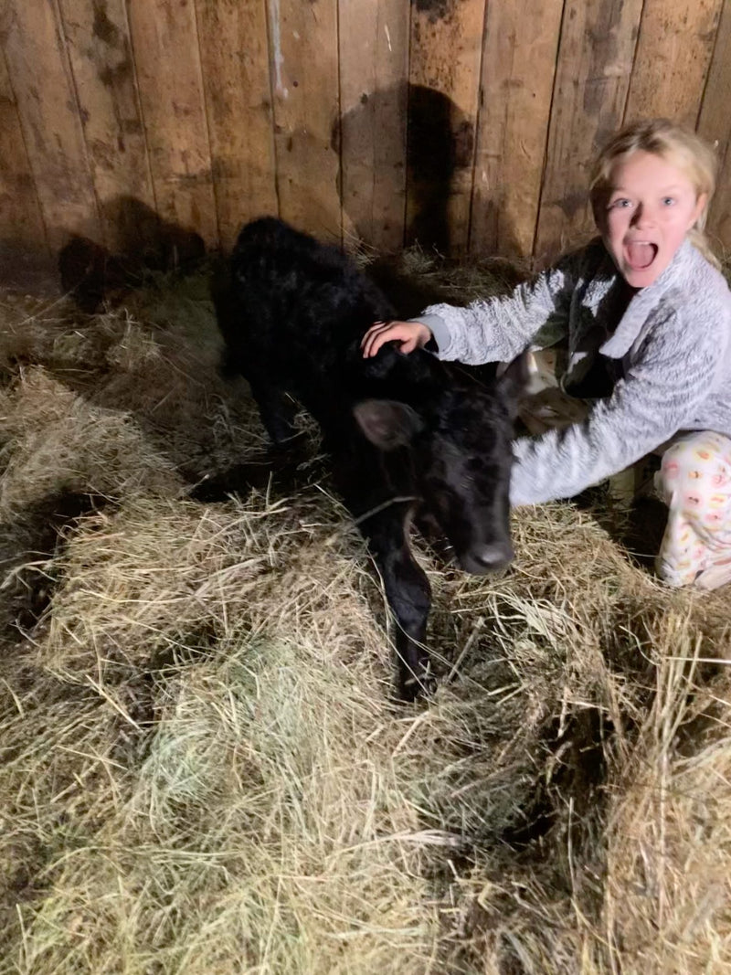 Ranch photo