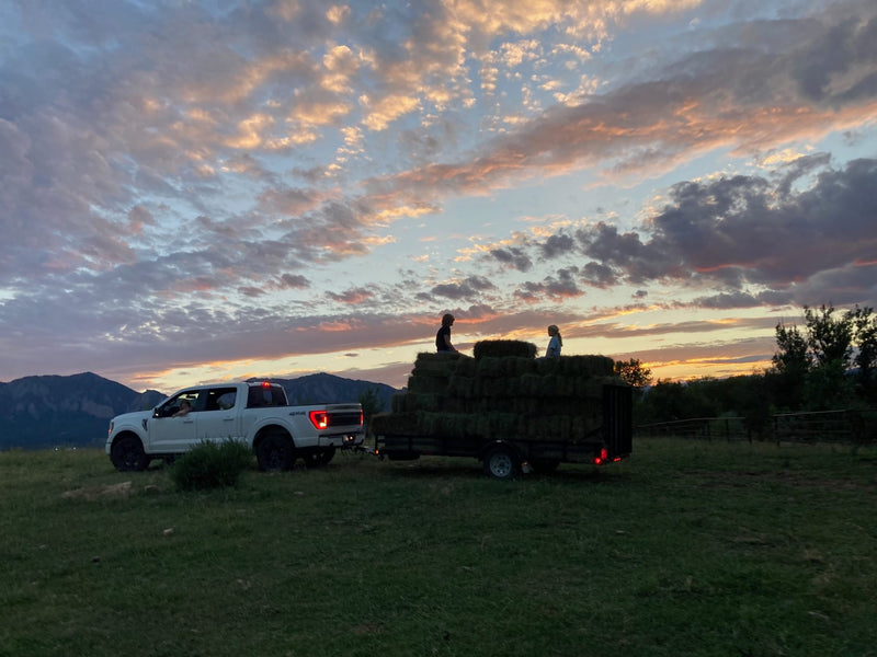 Ranch photo
