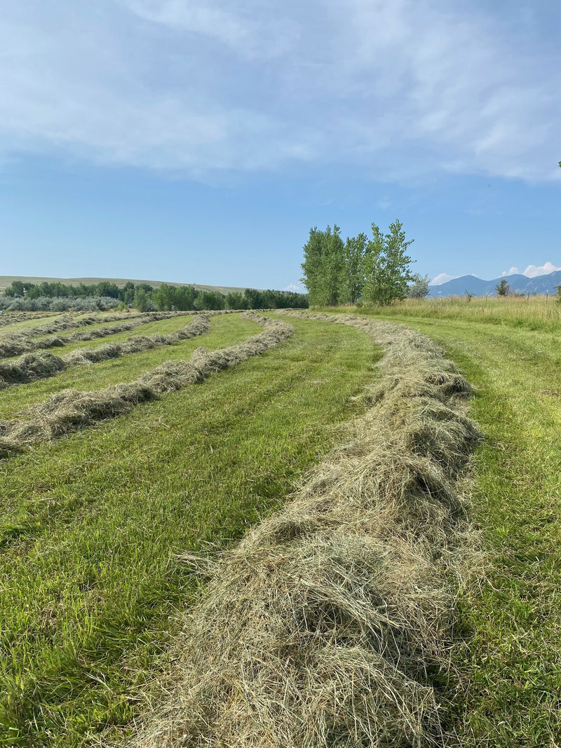 Ranch photo